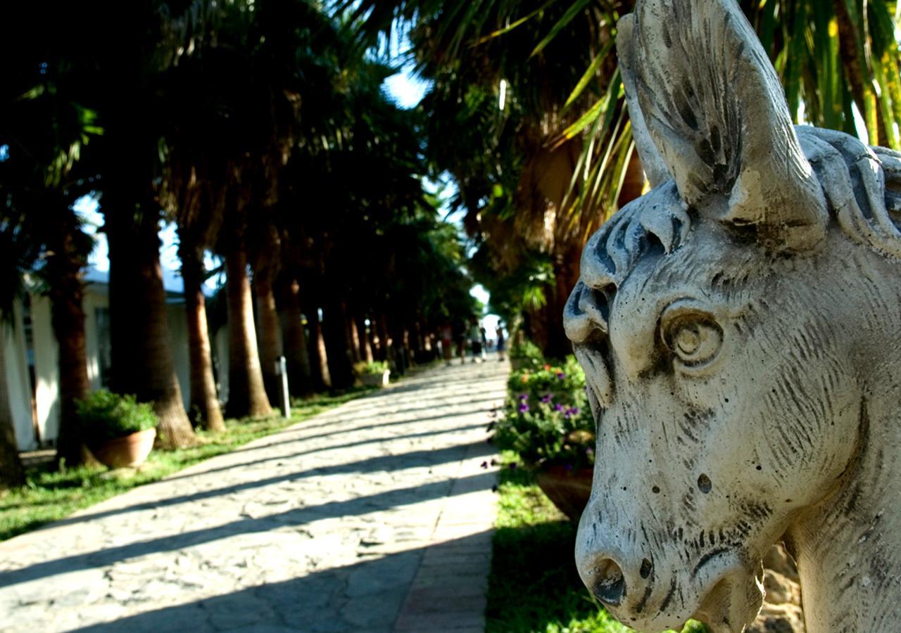 Cilento Resort Villaggio Velia Marina Di Casal Velino Exteriér fotografie